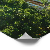 サンフランシスコの夏 ポスター (角)