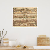 サンフランシスコの破壊(0508A) ポスター (キッチン)