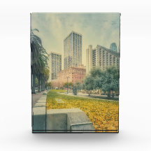 サンフランシスコの秋