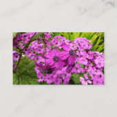サンフランシスコの紫の花 名刺 (裏面)