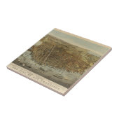 サンフランシスコの鳥目眺め タイル (側面)