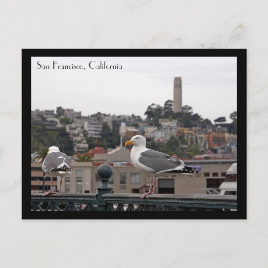 サンフランシスコはがき ポストカード (正面)