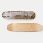 サンフランシスコカリフォルニア(1876年)のBirdseyeの眺め スケートボード (横)