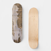 サンフランシスコカリフォルニア(1876年)のBirdseyeの眺め スケートボード (正面)