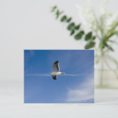 サンフランシスコガル ポストカード (スタンド正面)