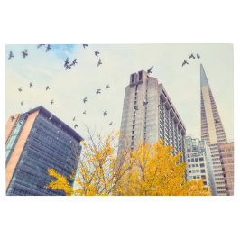 サンフランシスコスカイライン メタルプリント