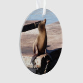 サンフランシスコピア39シーライオンクリスマスオーナメント オーナメント (正面)