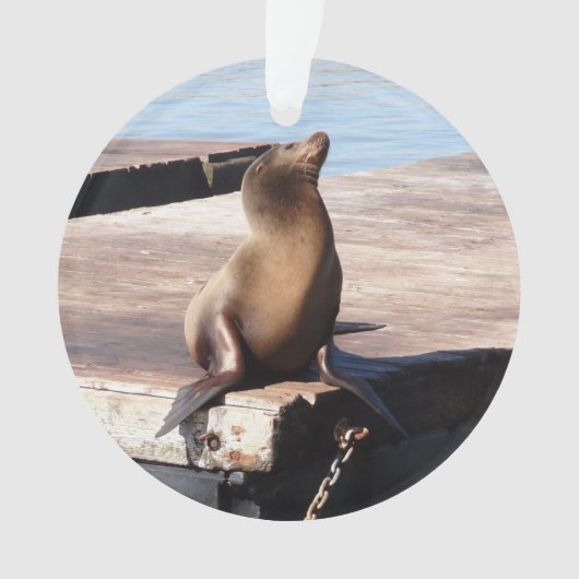 サンフランシスコピア39シーライオンクリスマスオーナメント オーナメント (正面)