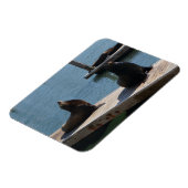 サンフランシスコピア39シーライオンズ#3マグネット マグネット (左側)