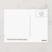 サンフランシスコピークイン秋 ポストカード (裏面)