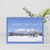 サンフランシスコピークスフラッグスタッフアリゾナカスタム シーズンカード (スタンド正面)