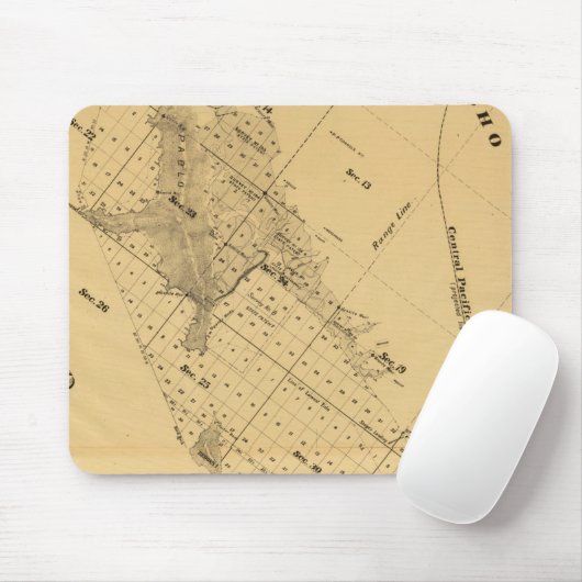 サンフランシスコベイソルトマーシュ マウスパッド (マウス)