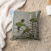 サンフランシスコワイルドパロッツ クッション (ブランケット)