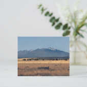 サンフランシスコ山地 シーズンポストカード (スタンド正面)