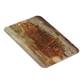 サンフランシスコ市、カリフォルニア州の古地図 マグネット (右側)