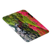 サンフランシスコ日本のティーガーデン#12マグネット マグネット (右側)