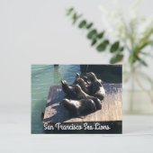 サンフランシスコ桟橋39シーライオンズ#2はがき ポストカード (スタンド正面)