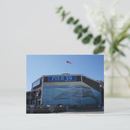 サンフランシスコ桟橋39鯨壁画はがき ポストカード (スタンド正面)