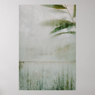 サンフランシスコ植物園 ポスター