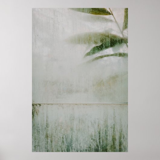 サンフランシスコ植物園 ポスター (正面)