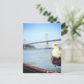 サンフランシスコ湾橋カモメ ポストカード (スタンド正面)