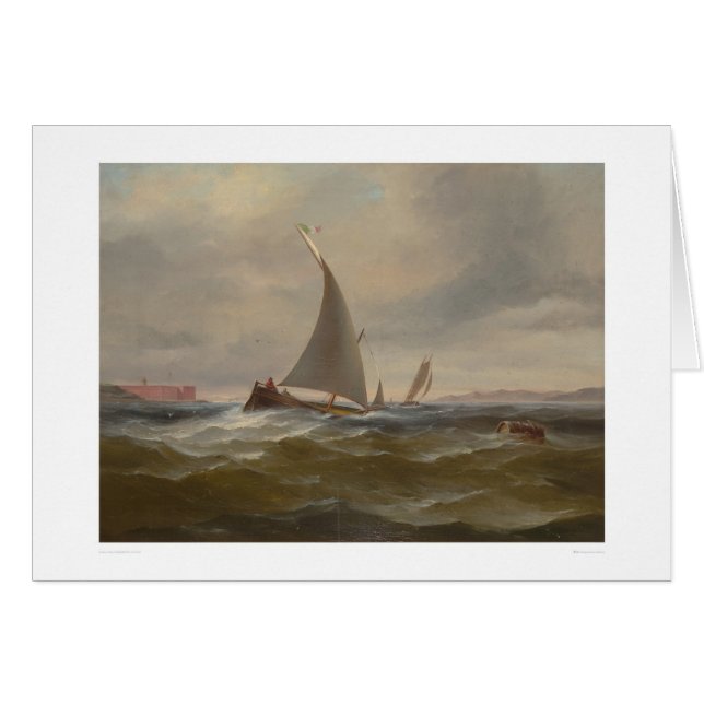 サンフランシスコ湾Felluca (1314年) (正面横)