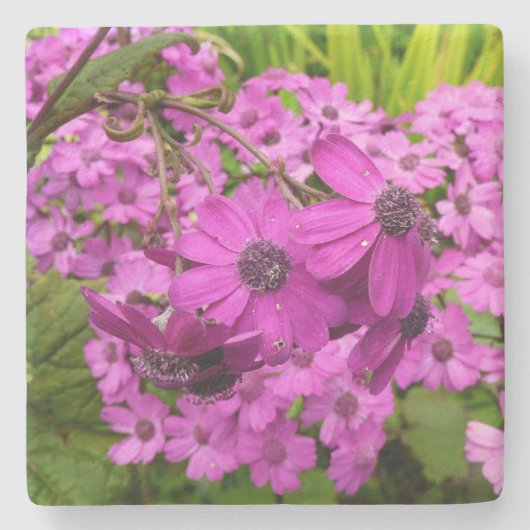 サンフランシスコ産の紫色の花 ストーンコースター (正面)