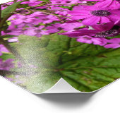 サンフランシスコ産の紫色の花 フォトプリント (角)