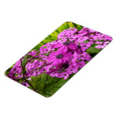 サンフランシスコ産の紫色の花 マグネット (左側)