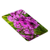 サンフランシスコ産の紫色の花 マグネット (右側)