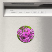 サンフランシスコ産の紫色の花 マグネット (インサイチュ (食洗機))