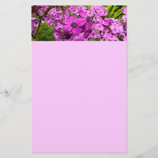 サンフランシスコ産の紫色の花 便箋 (正面)