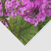 サンフランシスコ産の紫色の花 薄葉紙 (詳細)