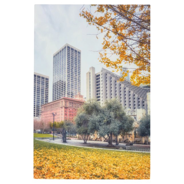 サンフランシスコ秋 メタルプリント (正面)