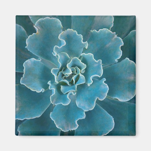 サンフランシスコ・カリフォルニアスゴールデンゲートパーク マグネット (正面)