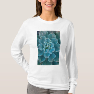 サンフランシスコ カリフォルニア ゴールデンゲートパークと Tシャツ