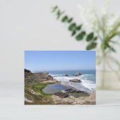 サンフランシスコSutro Burs，カリフォルニア州，サンフランシスコ ポストカード (スタンド正面)