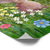 サンフランシス賛美ズ10匹の犬 ポスター (角)