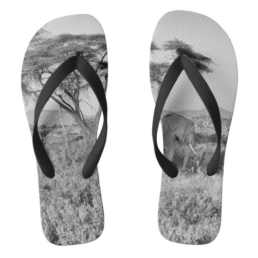 サンブルの象 ビーチサンダル (フットベッド)