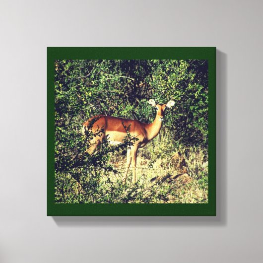 サンブルインパラ キャンバスプリント (正面)