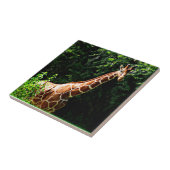 サンブルキリン タイル (側面)