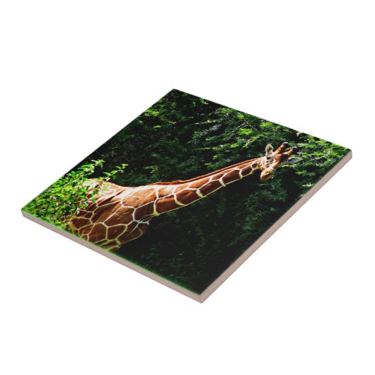 サンブルキリン タイル (側面)