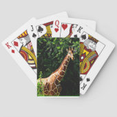 サンブルキリン トランプ (裏面)