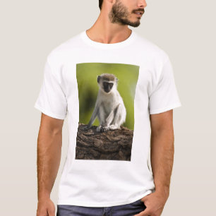 サンブルゲームリザーブ、ケニア、 vervet 猿 tシャツ