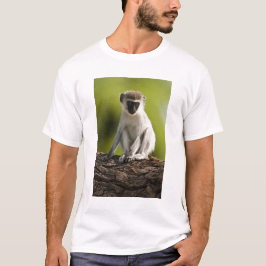 サンブルゲームリザーブ、ケニア、 vervet 猿 tシャツ (正面)