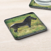 サンブルゼブラ コースター (左側)