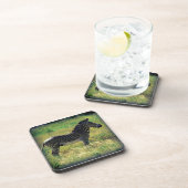 サンブルゼブラ コースター (右側)