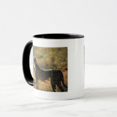 サンブルチエタ マグカップ (正面左)