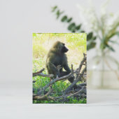 サンブルバブーン ポストカード (スタンド正面)