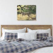 サンブル島のチーター キャンバスプリント (インサイチュ (寝室))